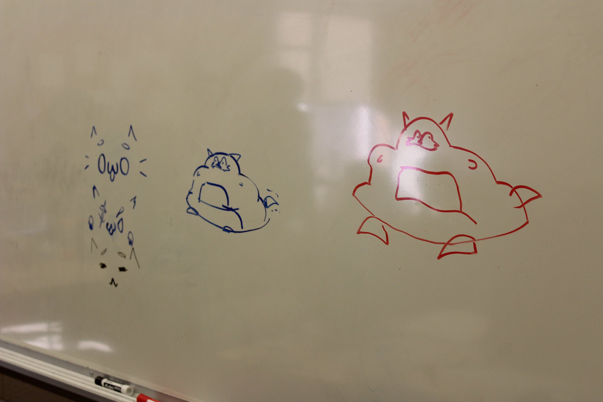 Mentor photo1